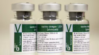 Vacina do Butantan contra dengue mantém proteção por ao menos cinco anos, aponta estudo