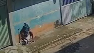 Homem é preso suspeito de zoofilia e agressão contra cadela no DF