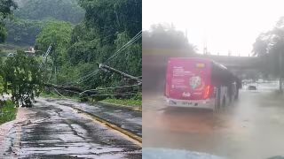 Chuva forte causa alagamentos, quedas de árvores e interdição de rodovia em Minas