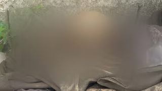 Vídeo nas redes leva PM a encontrar ossada exposta em cemitério de Governador Valadares