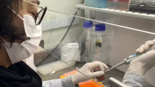 Exame de sangue em teste promete ajudar a rastrear câncer de mama com sinais precoces