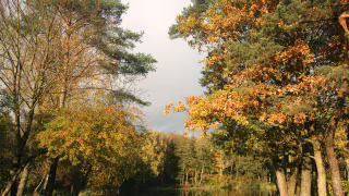 Outono começa sexta (20) sem alívio: modelos apontam calor acima da média no Brasil