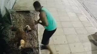 Câmeras flagram homem furtando luminárias de jardim em prédio no Cidade Nobre, em Ipatinga