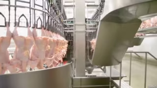 Conflito no Oriente Médio pode reduzir exportações de carne do Brasil e elevar custos logísticos