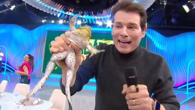 Rã foge ao vivo no 'Domingo Legal' e Celso Portiolli corre atrás durante quadro