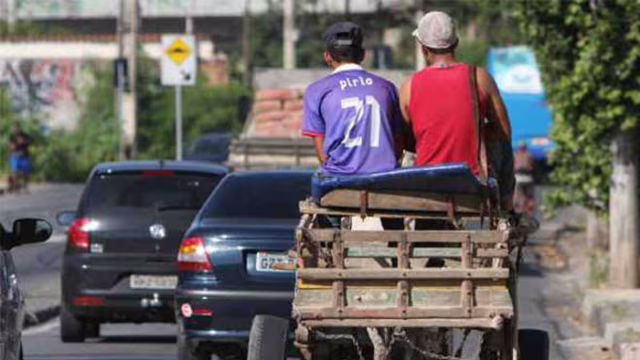 Vereador diz que BH segue recebendo denúncias de carroças apesar de lei que proíbe circulação em 2026