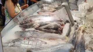 Levantamento aponta variação de até 252% nos preços de bacalhau na Grande BH durante a Quaresma