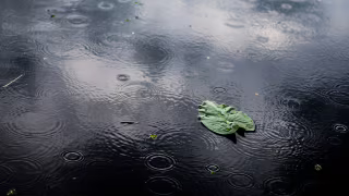 Inmet mantém alerta de tempestade para 485 cidades de Minas nesta terça (31)