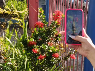 Projeto Estação abre inscrições para oficinas de fotografia com celular e artes visuais até 20 de abril