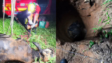 Bovino cai em fossa e é resgatado pelos bombeiros em Córrego Fundo