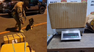 PF apreende 100 kg de cocaína em fiscalização no Aeroporto de Guarulhos