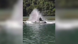 Polícia investiga homem suspeito de tentar agredir esposa com jet-ski em praia de Bertioga