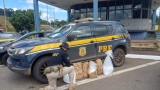 PRF prende homem e apreende cocaína avaliada em mais de R$ 12 milhões na BR-381, em MG