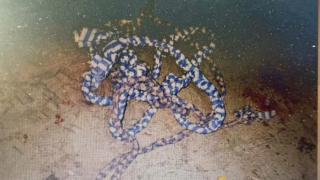 Preso que matou colega de cela após homofobia esquarteja comparsa de crime na Zona da Mata