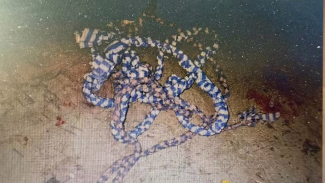 Preso que matou colega de cela após homofobia esquarteja comparsa de crime na Zona da Mata