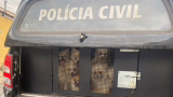 PCMG diz que 26 cães resgatados em BH não sofreram maus-tratos e local não era canil clandestino