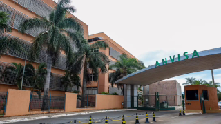 Anvisa determina recolhimento de lote de alecrim da Nati Sul após achar insetos vivos