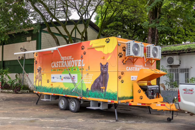 Ipatinga comemora 3 anos de castração gratuita e soma cerca de 8 mil cães e gatos atendidos