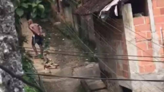 Homem é preso suspeito de matar cachorro do vizinho e arrastar corpo em Magé