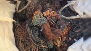 Operação Zinabre prende dois empresários por receptação de cabos de cobre no DF