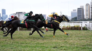 TJSP rejeita recuperação judicial do Jockey Club de São Paulo após recurso de credores