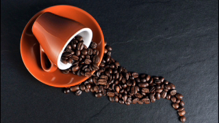 Brasil projeta safra recorde de café em 2026, aponta IBGE