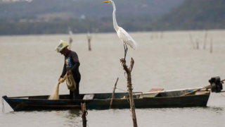 Congresso aprova novas regras para seguro-defeso e texto vai à sanção