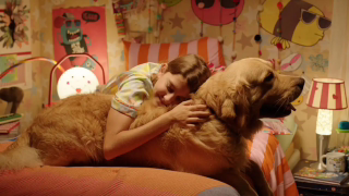 BIFF anuncia seleção de filmes e programação gratuita para 2026 em Brasília