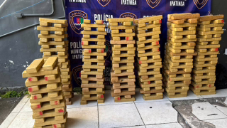 Polícia Municipal apreende 300 kg de maconha avaliados em R$ 1,05 milhão em Ipatinga