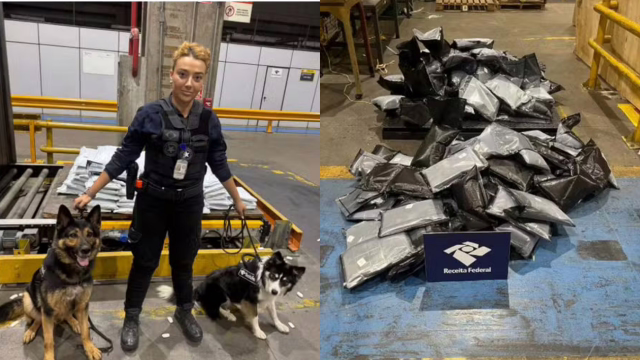 Cães farejadores acham 283,5 kg de haxixe em carga no Aeroporto de Guarulhos