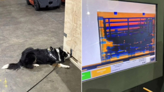 Receita Federal faz maior apreensão de haxixe da história: 283,5 kg em Guarulhos