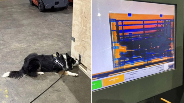 Receita Federal faz maior apreensão de haxixe da história: 283,5 kg em Guarulhos