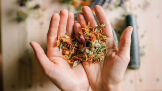 Promessas de chás “naturais” para diabetes e fígado viralizam e podem colocar saúde em risco