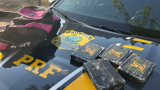 PRF prende mulher com 4,2 kg de cocaína em ônibus na BR-365, em MG