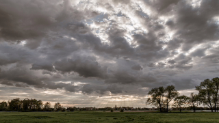Defesa Civil alerta para pancadas de chuva e rajadas de vento em Belo Horizonte