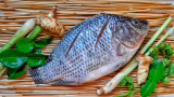 MG retira benefício tributário da tilápia importada e eleva imposto para proteger produção local