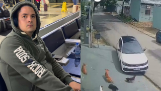 Homem é preso suspeito de atropelar intencionalmente cães comunitários em Manaus