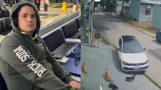 Homem é preso suspeito de atropelar intencionalmente cães comunitários em Manaus