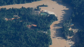 MPF denuncia à CIDH danos do mercúrio usado em garimpos ilegais na Amazônia