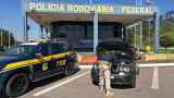 PRF recupera carro furtado e prende motorista na BR-381, em MG