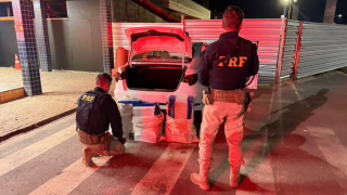 PRF apreende 130,5 kg de maconha na BR-262 e prende motorista em MG