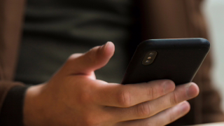 Filhotes de gatos são os principais alvos de tortura em lives, diz polícia