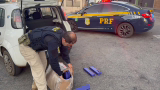 PRF apreende 35 kg de maconha na BR-262; casal é preso em flagrante em MG