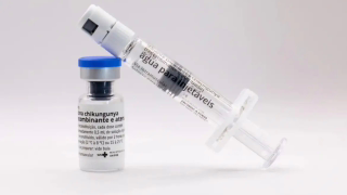 Anvisa autoriza Butantan a fabricar vacina contra chikungunya; produção passa a ser no Brasil
