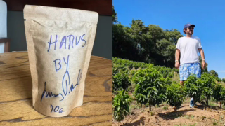 Pacote de 70 g de café Geisha é arrematado por R$ 3.000 em leilão nas redes; xícara chega a R$ 600