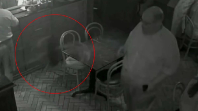 Ed Motta se envolve em confusão em restaurante, joga cadeira e caso vai parar na polícia