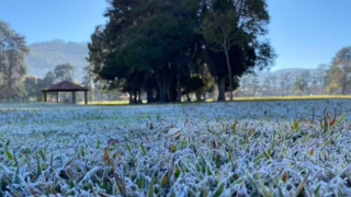 Inmet emite alerta de geada para 228 municípios do Sul; termômetros podem chegar a 3°C