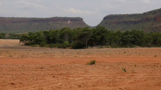 MapBiomas aponta alta de 163% na fragmentação da vegetação nativa no Brasil desde 1986