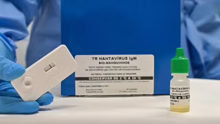 OMS confirma oito infecções por hantavírus em surto ligado a cruzeiro no Atlântico