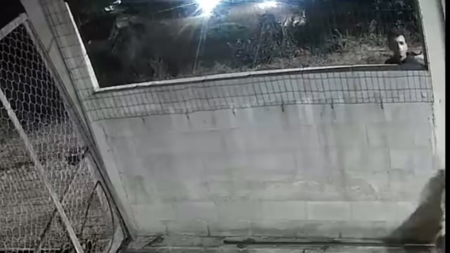 Casa é invadida em Inhapim e armas de fogo são furtadas; quatro suspeitos são citados